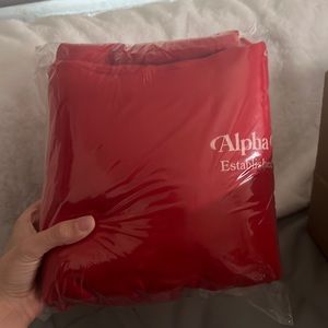 COPY - super cute alpha chi omega sweatshirt size large.